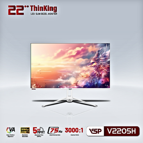 Man-Hinh-22inch-Full-HD-VSP-V2205H-4.png